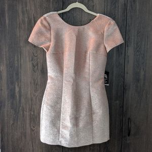 NWT Express Iridescent Mini Cocktail Low Back